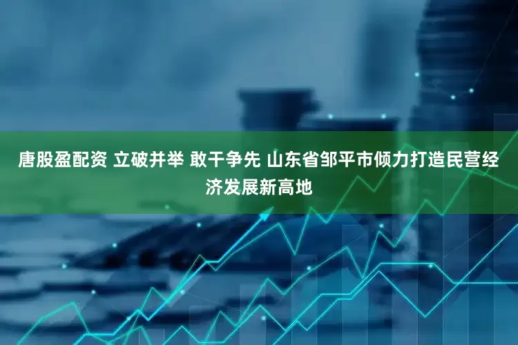 唐股盈配资 立破并举 敢干争先 山东省邹平市倾力打造民营经济发展新高地