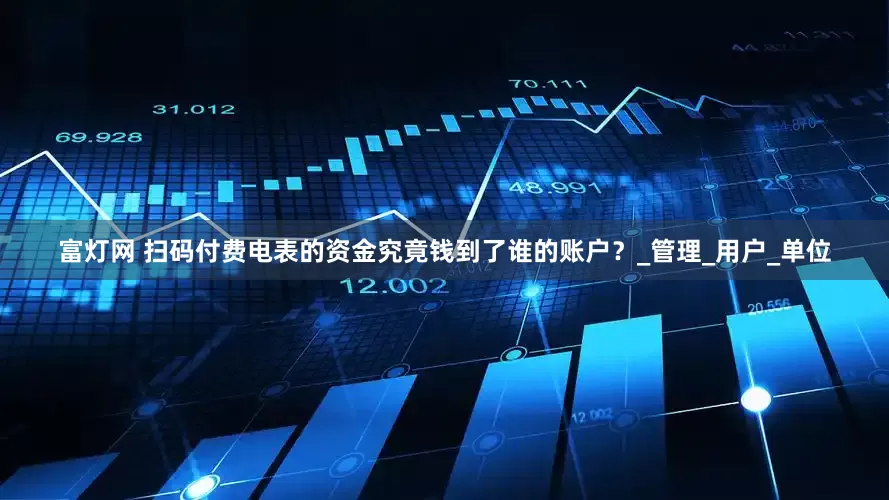 富灯网 扫码付费电表的资金究竟钱到了谁的账户？_管理_用户_单位