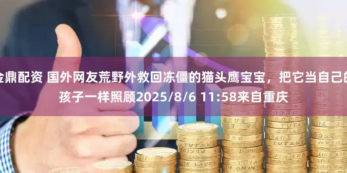 金鼎配资 国外网友荒野外救回冻僵的猫头鹰宝宝，把它当自己的孩子一样照顾2025/8/6 11:58来自重庆