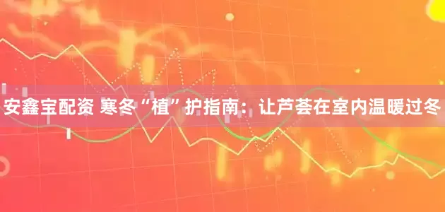 安鑫宝配资 寒冬“植”护指南：让芦荟在室内温暖过冬