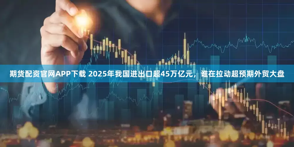 期货配资官网APP下载 2025年我国进出口超45万亿元，谁在拉动超预期外贸大盘